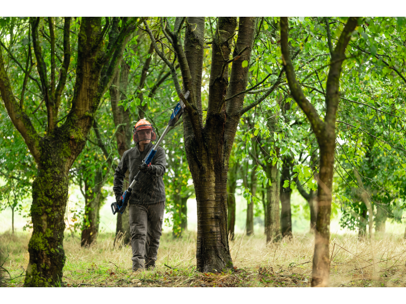  Akumulatorske teleskopske škarje za obrezovanje vej Bosch GKE 18V-25 TP, 06008D6000
