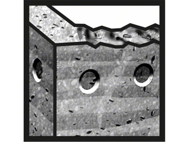 Udarni sveder Bosch PRO SDS-plus-5X, Dimenzije: 22x200x250mm, 2608836644