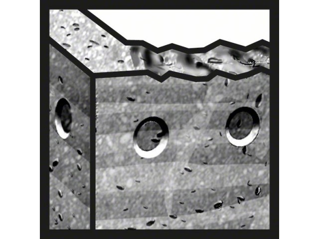 Udarni sveder Bosch SDS max-7, 2608586792