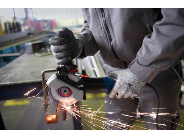 Kotni brusilnik Bosch s sistemom X-LOCK GWX 17-125 S, 125mm, 2.2kg, 06017D2300