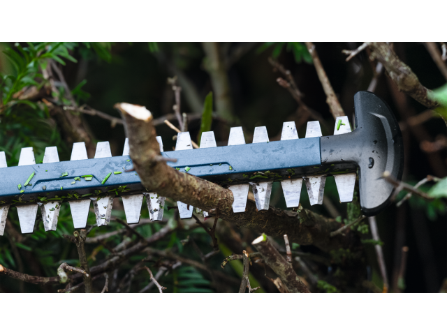 Akumulatorske škarje za živo mejo Bosch GHE 18V-50 (II), 06008C9600