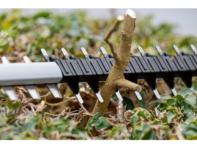 Akumulatorske škarje za živo mejo Bosch GHE 18V-50, 06008C9500