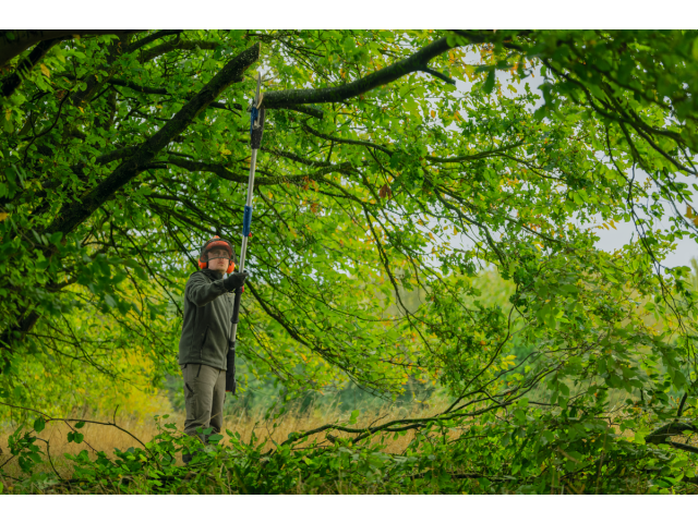  Akumulatorske teleskopske škarje za obrezovanje vej Bosch GKE 18V-25 TP, 06008D6000