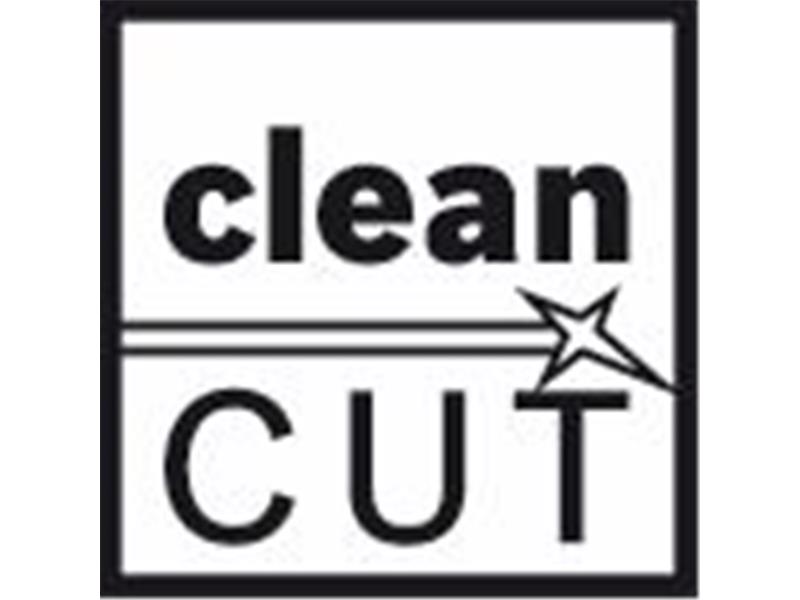 List vbodne žage T 301 CD Clean for Wood
