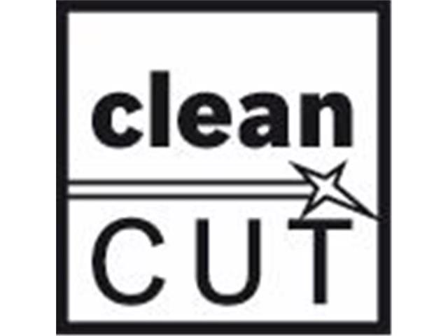 List za vbodno žago T 301 CDF Clean for Hard Wood